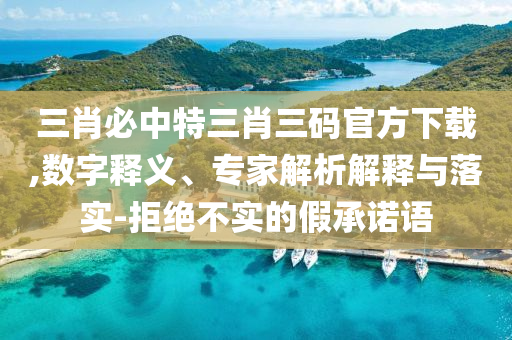 三肖必中特三肖三碼官方下載,數(shù)字釋義、專家解析解釋與落實(shí)-拒絕不實(shí)的假承諾語